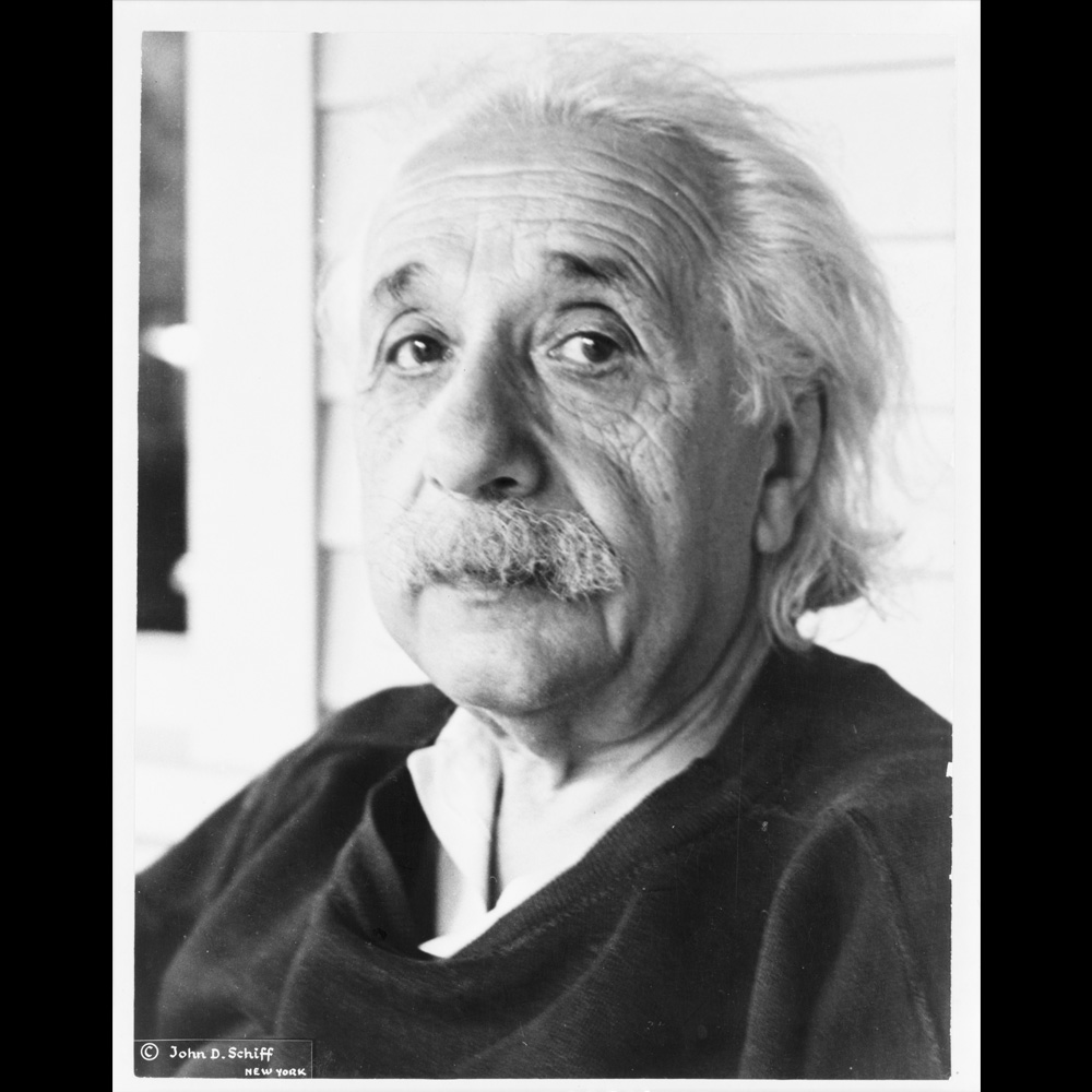 Albert Einstein, head-and-shoulders portrait, facing left.
